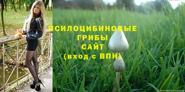 альфа пвп Беломорск